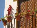 flowers and house in albayzin, granada, spain